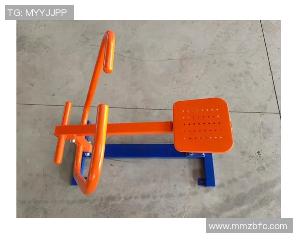 探索体育健身器材加盟新机遇助力健康生活方式的推广与发展