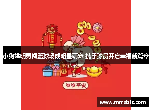 小狗姚明勇闯篮球场成明星萌宠 携手球员开启幸福新篇章