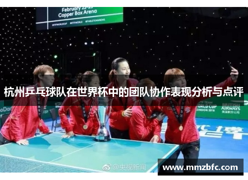 杭州乒乓球队在世界杯中的团队协作表现分析与点评